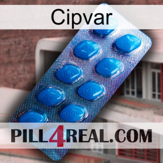 Cipvar viagra1